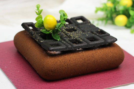 The Choco Esrog Square