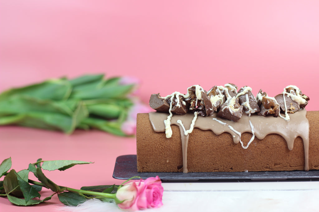Chocolate CheeseCake Log - Dairy